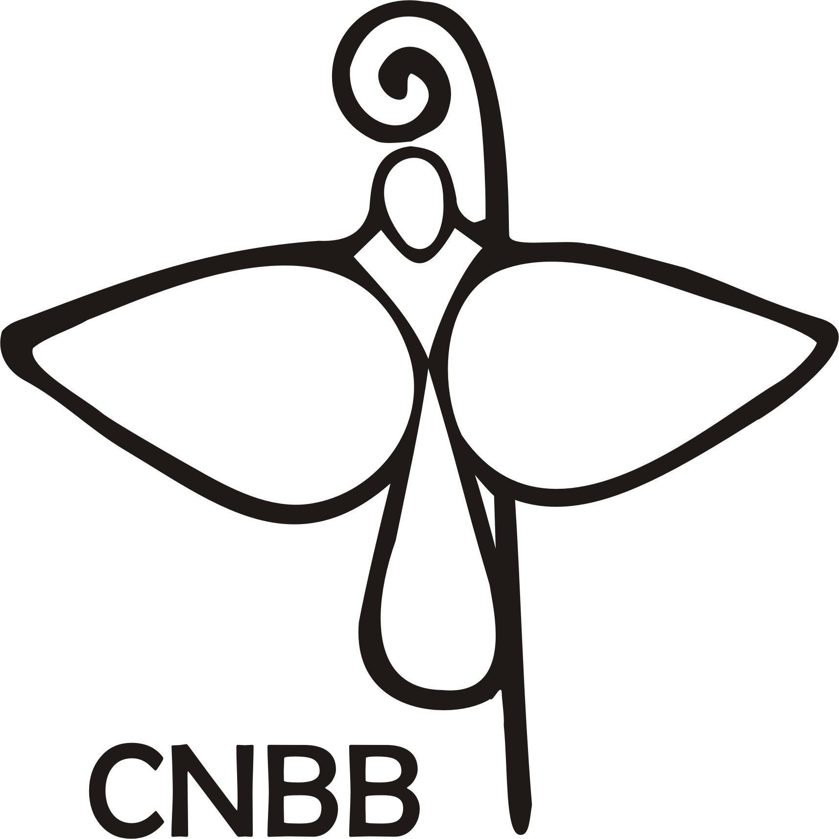 A dor que nunca vai passar – CNBB